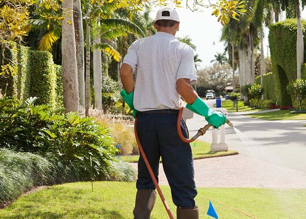 About Elmo TX Pest Control Pros
